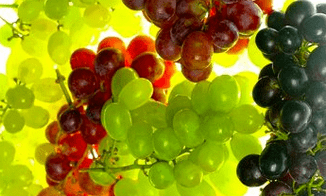 nutritional correction para sa mga varicose veins